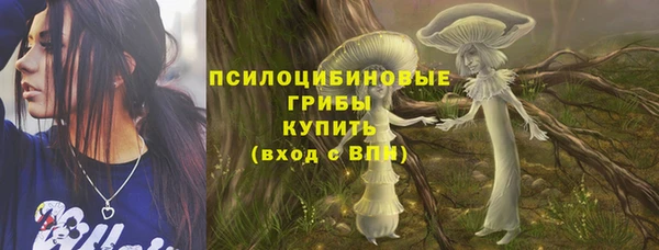 крисы Снежногорск