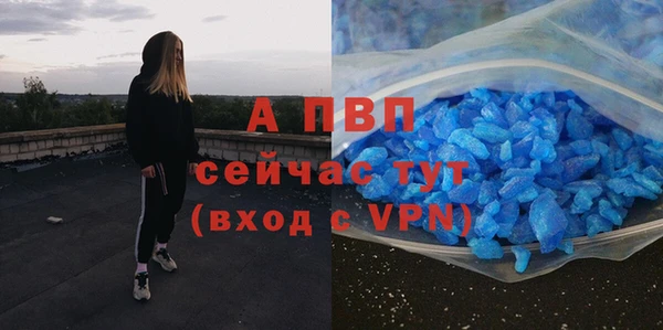 эйфоретик Баксан