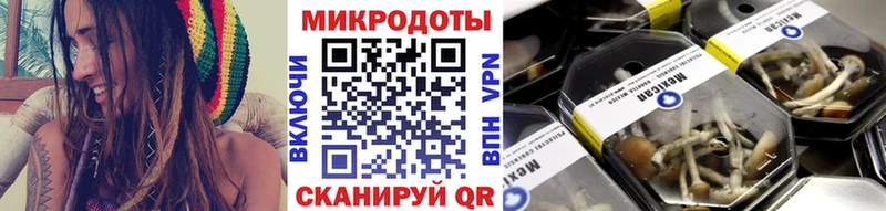 Галлюциногенные грибы ЛСД  Буинск 